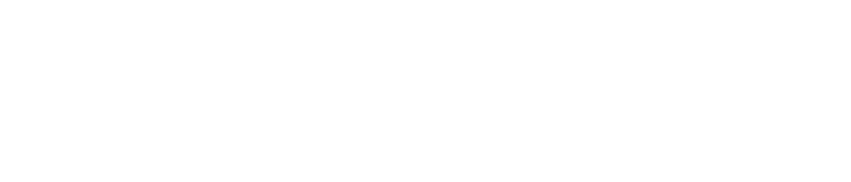 VicPlan Consulting